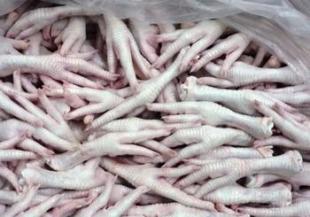 牲畜批發零售市場全解析 價格、廠家與全球采購趨勢