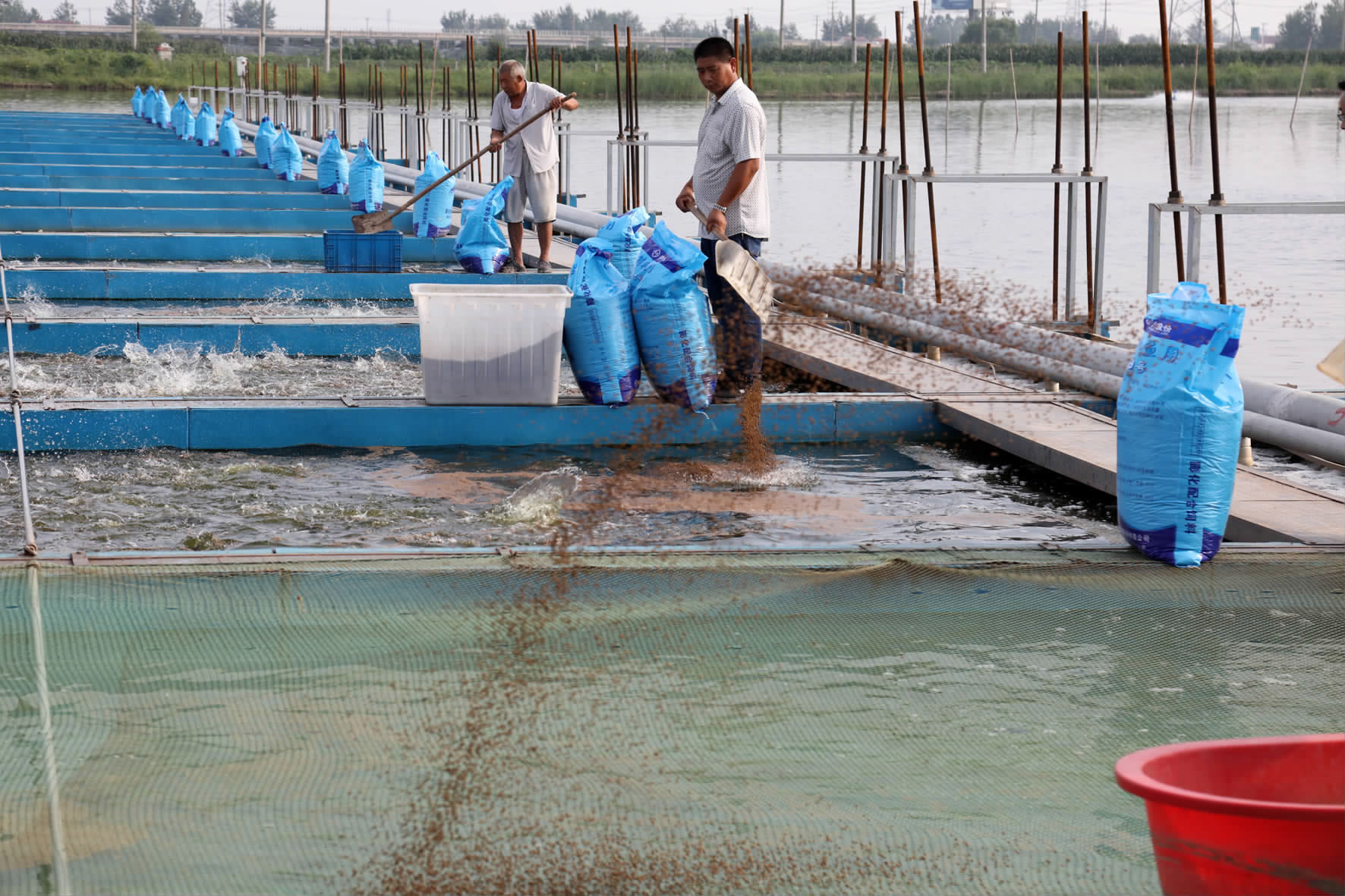 綠色引擎驅動產業升級——市農辦主任、農業農村局局長楊中校赴德清調研水產養殖業綠色發展